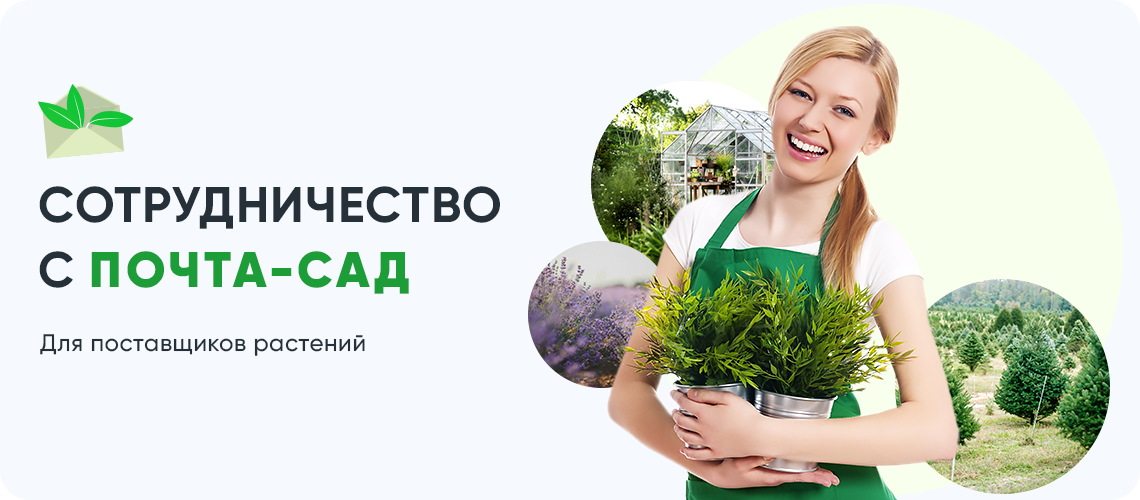 Сотрудничество